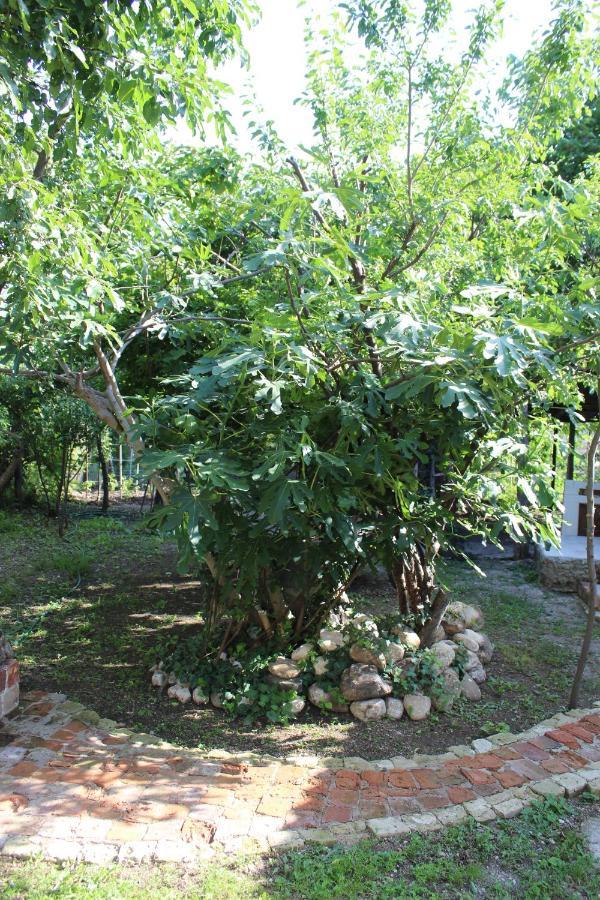 Guest House Meri Poppins Dedoplis Tskaro Buitenkant foto
