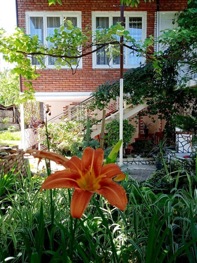 Guest House Meri Poppins Dedoplis Tskaro Buitenkant foto
