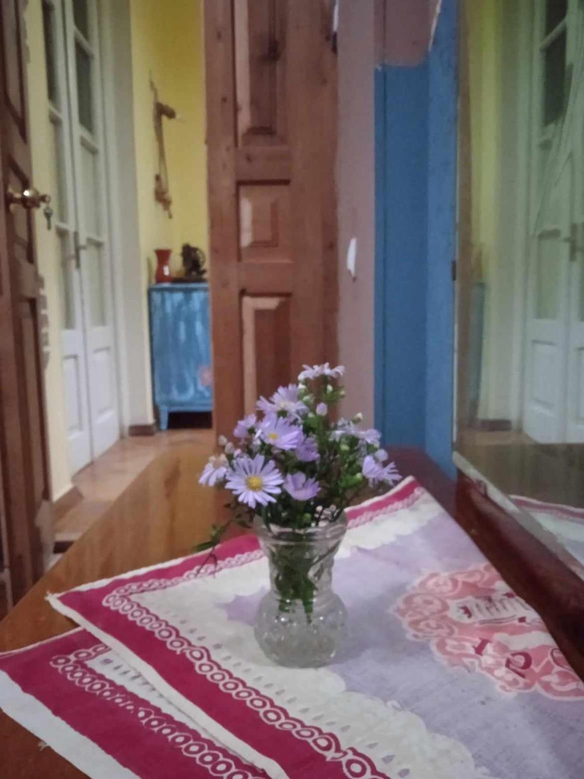 Guest House Meri Poppins Dedoplis Tskaro Buitenkant foto